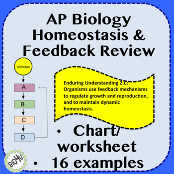 ap biology homeostasis worksheet