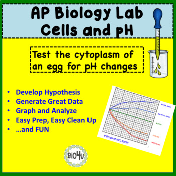 ap biology ph worksheet