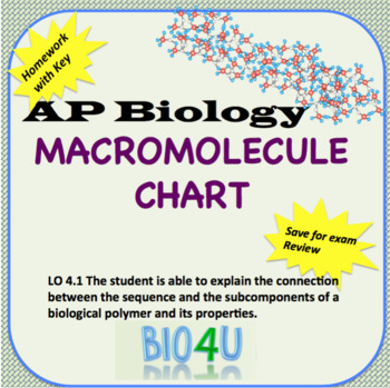 Biological Macromolecules Chart