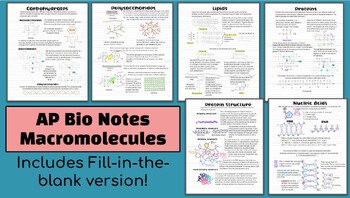 Preview of AP Biology Macromolecules Notes (Carbohydrates, lipids, proteins, nucleic acids)