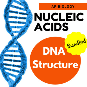 Preview of AP Biology Nucleic Acid