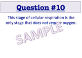 AP Biology - Photosynthesis & Respiration Bingo Review Game
