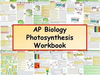 Preview of AP Biology: Photosynthesis Workbook