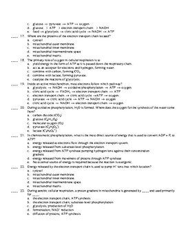 ap biology frq photosynthesis