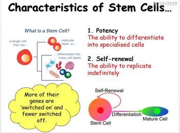 Biology, Free Full-Text