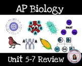 AP Biology Review Unit 5-7 Anchor Charts Genetic Evolution Bundle