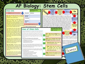 Preview of AP Biology:  Stem Cells Lesson & Activities