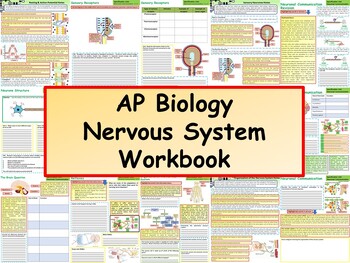 Preview of AP Biology: The Nervous System Workbook