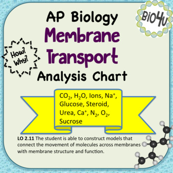 Part 1 Membrane Structure Chart Answers