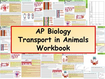 Preview of AP Biology: Transport in Animals Workbook