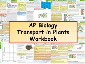 Preview of AP Biology: Transport in Plants Workbook