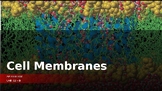 AP Biology - Unit 02. Part B. Cell Membranes - PowerPoint 