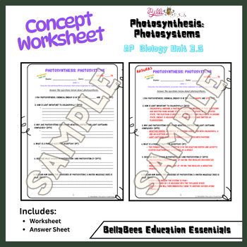 Preview of AP Biology Unit 3.5 Photosystems Concept Worksheet: Photosynthesis