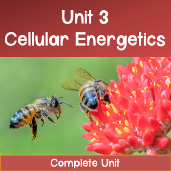 Preview of AP Biology Unit 3: Cellular Energetics COMPLETE UNIT--Distance Learning