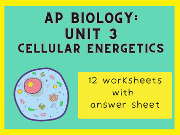 Preview of AP Biology Unit 3 Worksheets (Cellular Energetics)