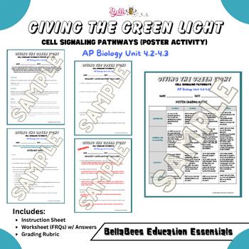 Preview of AP Biology Unit 4.2-4.3 Giving the Green Light: Cell Signaling Pathway