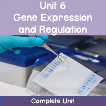 Preview of AP Biology Unit 6: Gene Expression and Regulation COMPLETE UNIT