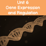 AP Biology Unit 6: Gene Expression and Regulation PowerPoint