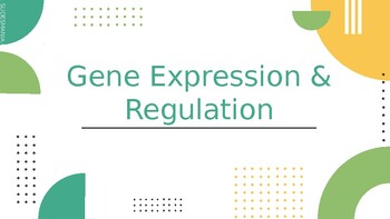 Preview of AP Biology Unit 6: Gene Expression and Regulation Powerpoint(Part 1)