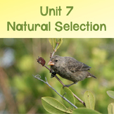 AP Biology Unit 7: Natural Selection PowerPoint