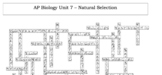 AP Biology Unit 7 (Natural Selection) Crossword - Great fo