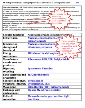 AP Biology Worksheet: Learning Objective 2 13 Organelle Interactions
