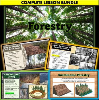 Preview of AP Environmental Science Forestry and Sustainable Forestry Lesson BUNDLE!
