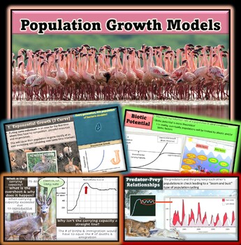Preview of AP Environmental Science Population Growth Models PowerPoint Notes