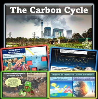 AP Environmental Science The Carbon Cycle Interactive Animated PowerPoint  NEW