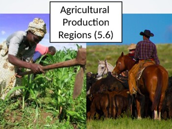 AP Human Geography – Topic 5.6 (Agricultural Production Regions)