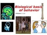 AP Psych: Module 1.1-1.5 Myers 4th edition Biological Basi
