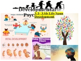 AP Psych: Module 3.1- 3.6b Developmental Psych Myers 4th e