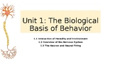 AP Psych NEW CED PPT slides 1.1-1.3 Biological Basis