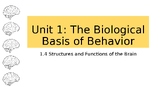 AP Psych NEW CED PPT slides 1.4 Biological Basis