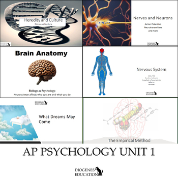 Preview of AP Psychology | Unit 1: Biological Bases of Behavior | Psych 2024