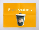 AP Psychology Brain Parts & Functions PPT