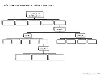 Ap Psychology States Of Consciousness Review And Graphic Organizer