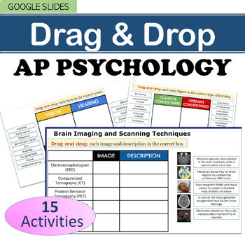 Preview of AP Psychology Drag & Drop Review Activities Bundle 