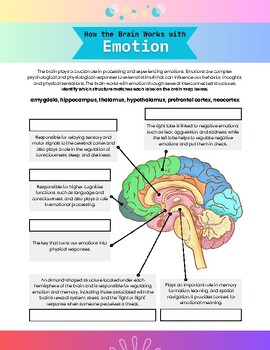 Preview of AP Psychology How the Brain Processes Emotion Worksheet and Classroom Poster