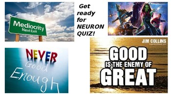 Brain Quiz, Project NEURON