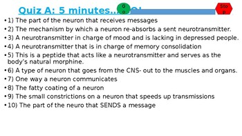 Brain Quiz, Project NEURON