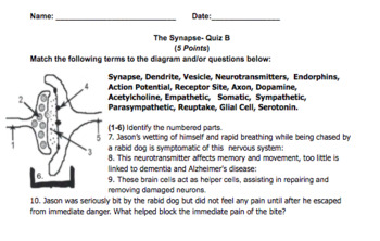 Parts of a Neuron Quiz