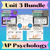 AP Psychology Sensation and Perception Bundle