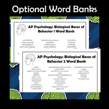AP Psychology The Brain and Biological Bases of Behavior Crossword