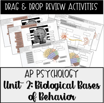 Preview of AP Psychology Unit 2 Biological Bases Drag & Drop Review Activities