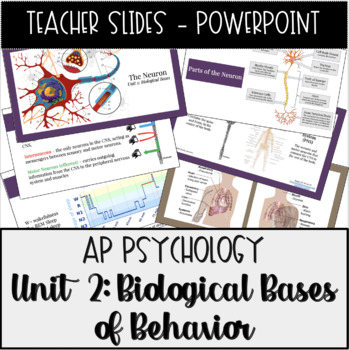 Preview of AP Psychology, Unit 2: Biological Bases Powerpoint Presentations Teacher Slides