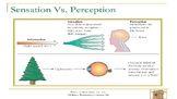 AP Psychology - Unit 3&4 - Sensation, Perception, Sleep, Learning - PowerPoint