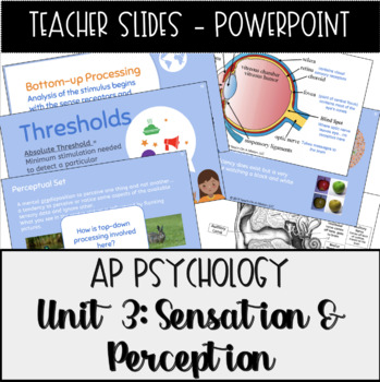 Preview of AP Psychology Unit 3 Sensation & Perception Powerpoint Presentations
