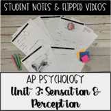 AP Psychology Unit 3 Sensation & Perception Student Notes