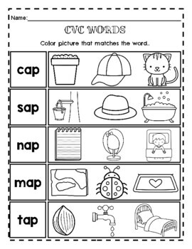 AP Word Family Fun Sheets by The Connett Connection | TpT